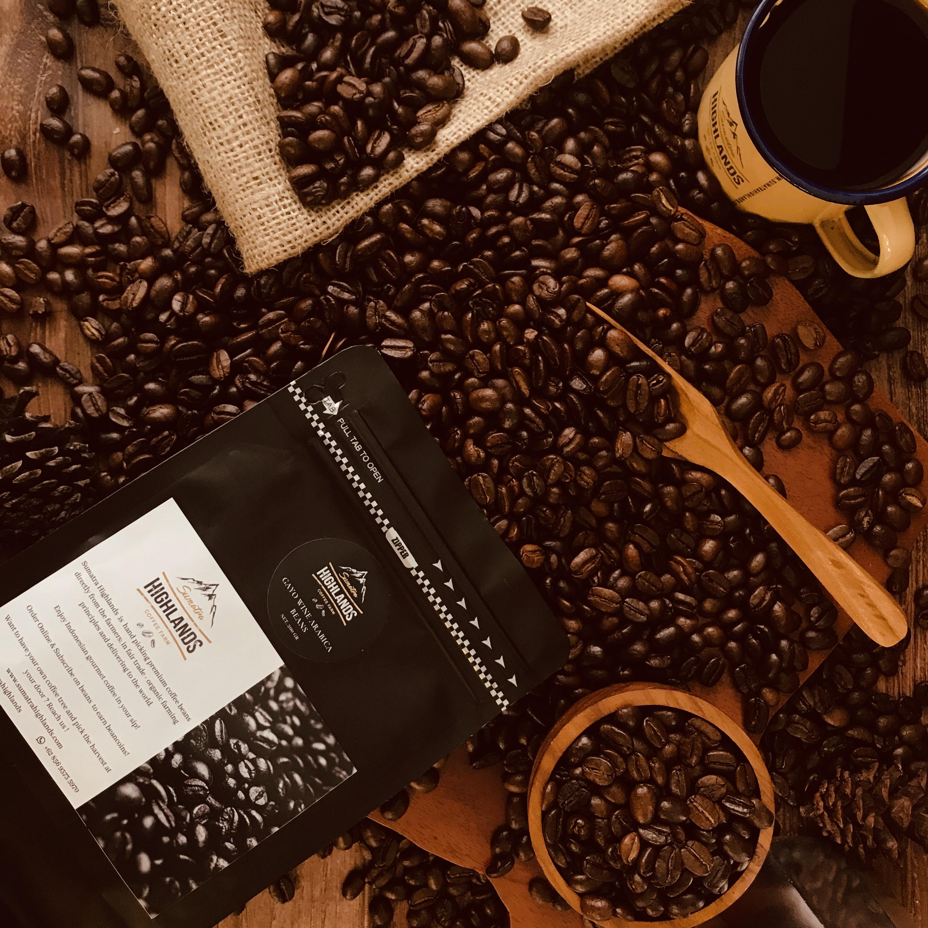 Gayo Wine Arabica Coffee Beans