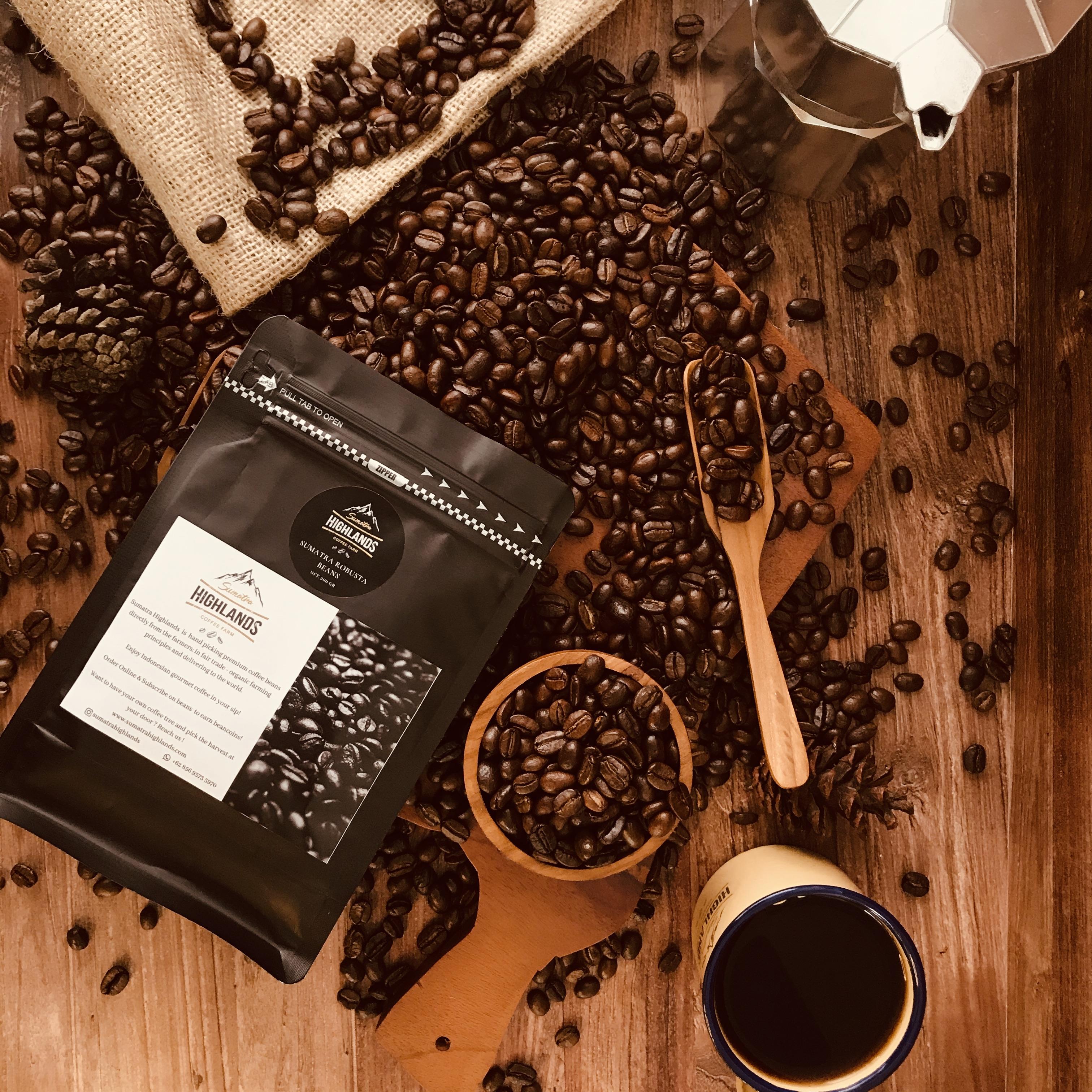Sumatra Robusta Coffee Beans